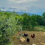 Bujtina Amar 게스트하우스 Lazarat