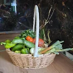 Bujtina Amar 게스트하우스 *