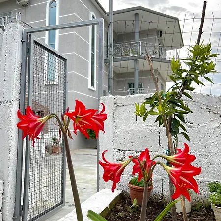 Guest house Bujtina Amar Lazarat